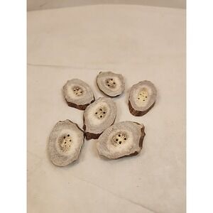 1.25" to 1.5" Handmade Natural Rustic Deer Antler Buttons Set Of 6